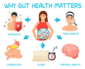 Graphic of why gut health matters