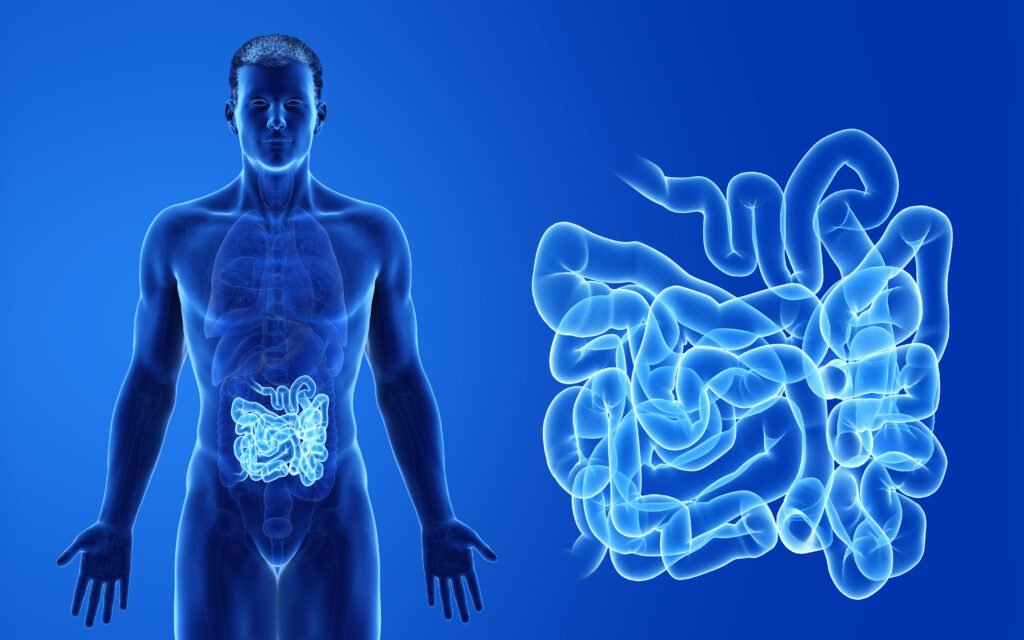 Graphic of man and gut