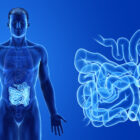 Graphic of man and gut